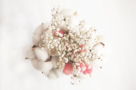 art photo of a bouquet of white flowers and cotton with pink elements on a white backgroundの写真素材