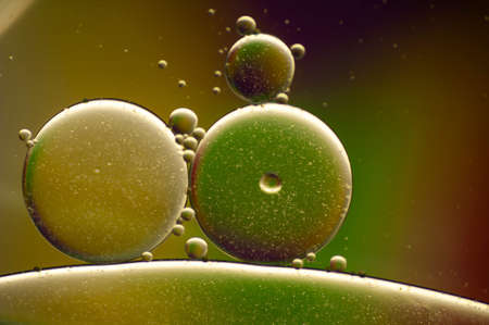 photo of multi-colored drops of oil close-up on a colored background for the background 2の写真素材