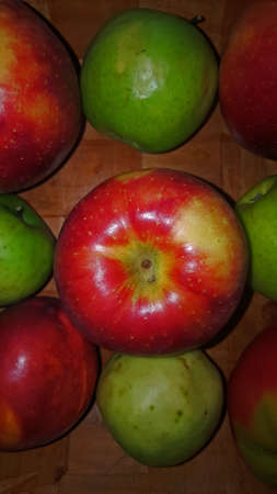 photo of mushrooms with large caps collected in the forest close-upの写真素材