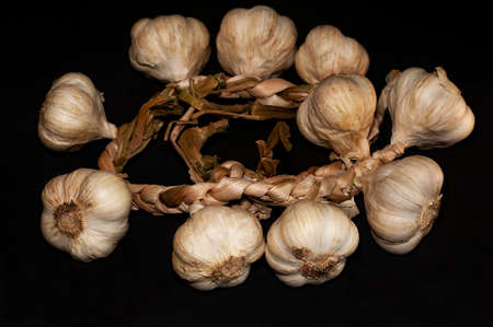 horizontal photo of a bunch of garlic close-up on a black backgroundの写真素材