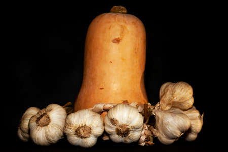 horizontal photo of pumpkin and bunch of garlic close up on black backgroundの写真素材