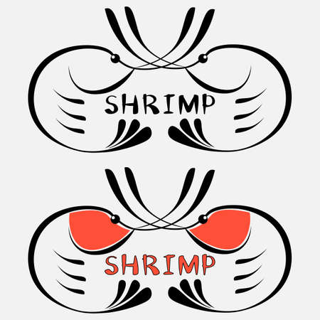 set of creative minimal shrimp from shrimp outlines with the inscriptionのイラスト素材