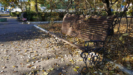 art horizontal photo of a close-up of autumn leaves on a bench on a path in a public gardenの写真素材