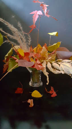 autumn bouquet of different leaves on a dark background with rays of light blueの写真素材
