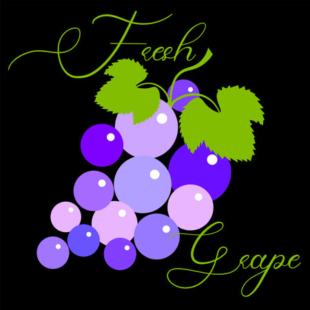 fresh grapes logo made from lettering and grape brushのイラスト素材