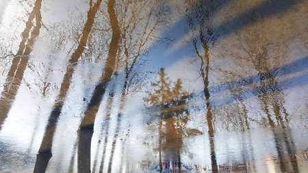 Spring. reflection in a spring puddle of trees and shadows 1の写真素材