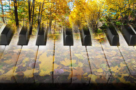 art photo double exposure with piano keys and autumn maple leaves 1の写真素材