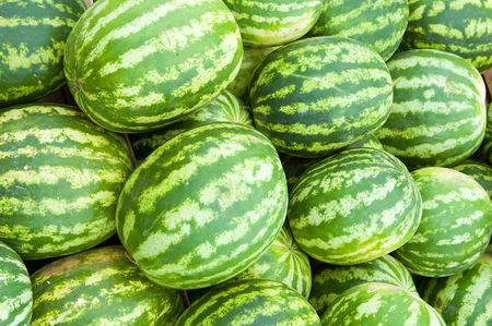 Background from set of tasty ripe striped water-melons.の写真素材