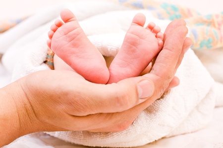 Children's legs on a palm of the adult personの写真素材