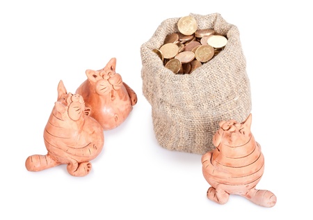 Three cats stand near to a bag of money  Section of the inheritanceの写真素材