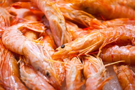 Many fresh bright shrimps laying on supermarket counterの写真素材
