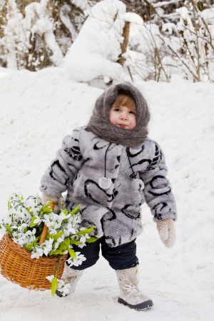 little girl in a down scarf, a fur coat and valenoks bears a big basket with snowdrops in the winter woodの写真素材