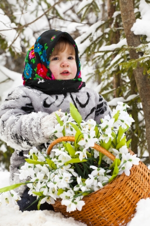 little girl in a down scarf, a fur coat and valenoks bears a big basket with snowdrops in the winter woodの写真素材