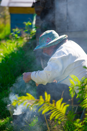 beekeeper prepares the smoker to work  on an apiary