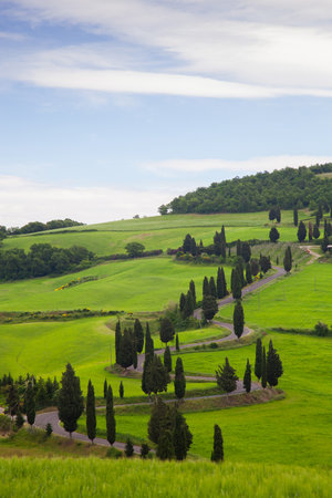 Beautiful landscape of Tuscany with the twisting road and cypressesの写真素材