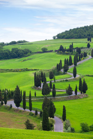 Beautiful landscape of Tuscany with the twisting road and cypressesの写真素材