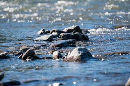 Nature of Altai mountains