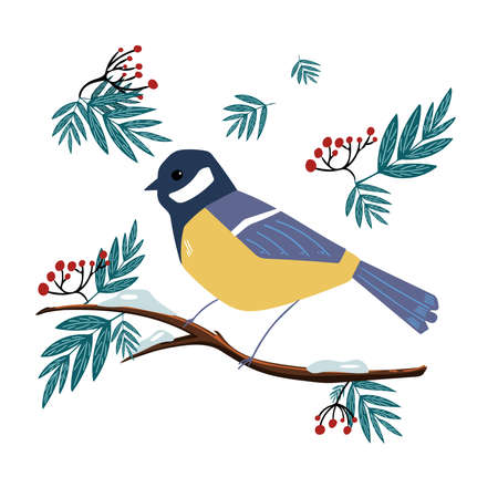 Tit with ashberry in winter. Vector illustration of a winter bird. Postcard, cover, invitationのイラスト素材