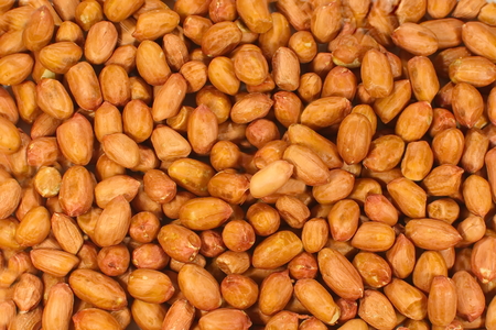 culinary background from bright fresh peanut