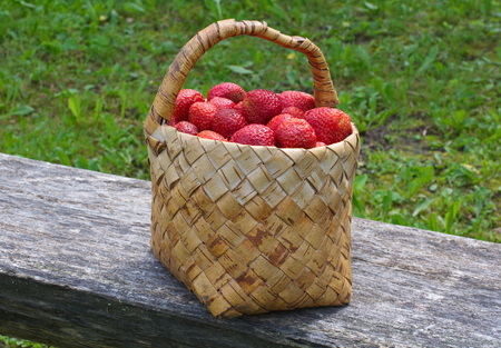 basket filled with fresh strawberries on a wooden benchの写真素材
