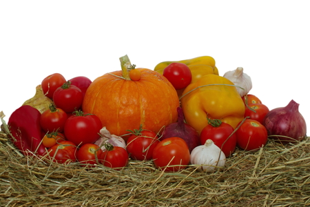 harvest a variety of vegetables isolated on whiteの写真素材