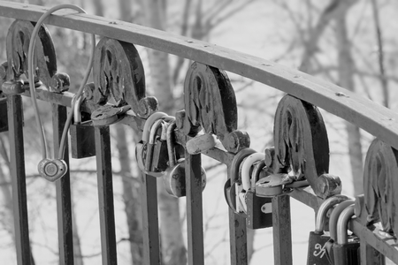 locks on the fence as tradition in the weddingの写真素材