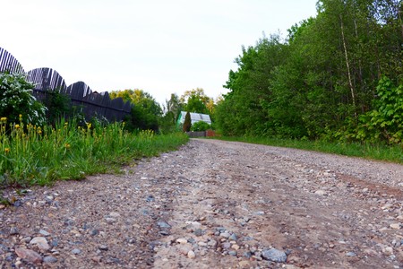 rural soil road passing through green forestの写真素材
