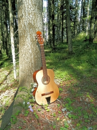 Photo of a musical instrument that contributes to the romantic moments in nature with tree as a symbol of friendship in the mountainsの写真素材
