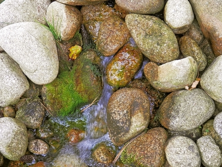 Photo modified small river bed with an oval stone became the Theme Supplement autumn collection of...
