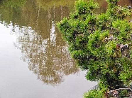 The lake and Its Surroundings Provide an indication on the picture of nature at rest.の写真素材