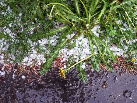May storm that turned into a densely falling glacier with big balls.の写真素材