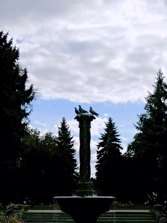 Pigeons on a fountain as symlol peace. Photo and friendship monument in the square in Kosice Slovakia.の写真素材