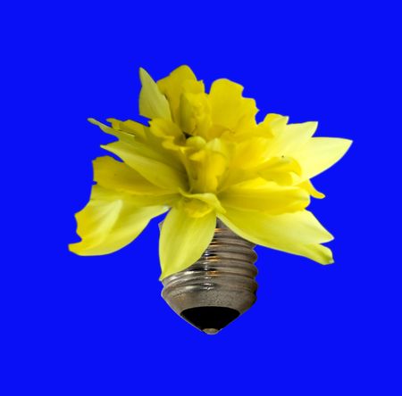 Yellow flower springing from metal piece of a bulb