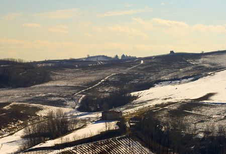 Landscape of a Vineyard covered with snowの写真素材
