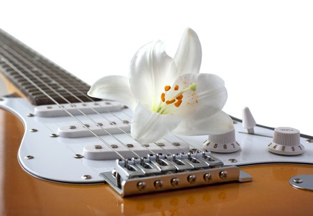 White Lily flower leaning on strings of an electric guitar, over whiteの写真素材