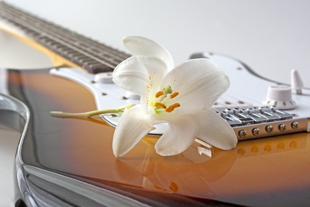 White Lily flower leaning on strings of an electric guitar, over whiteの写真素材