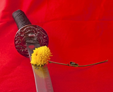 Close up of the blade of the reproduction of a katana, japanese old sword, with yellow flower over....