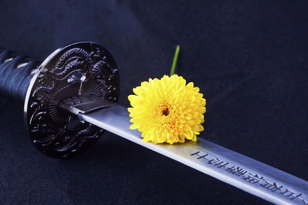 Close up of the blade of the reproduction of a katana, japanese old sword, with yellow flower over....