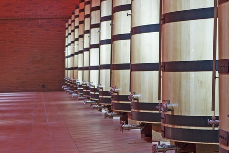 Great barrels for liquor in the cellar of a distillery