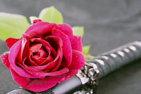 Red rose laying on a katana, black backgroundの写真素材