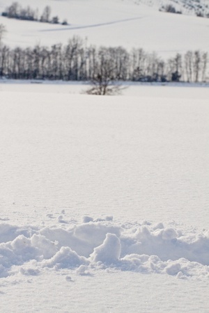 Close up of snow, with wood on the backgroundの写真素材