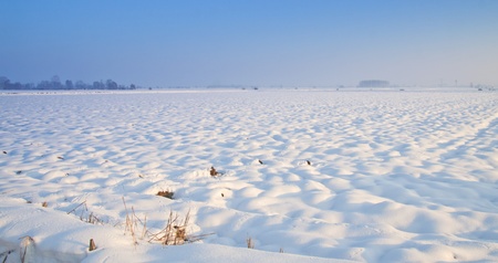 Snowy landscape with snow covered fiels under the blue skyの写真素材