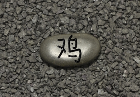Stone with chinese ideogram , symbol of the chinese horoscopeの写真素材