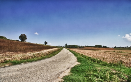 HDR image of a road cutting through the fieldsの写真素材