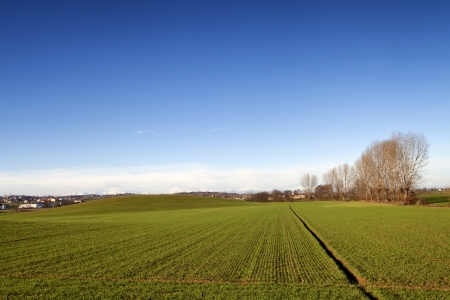 Landscape of fields, with furrows cutting through the grassの写真素材