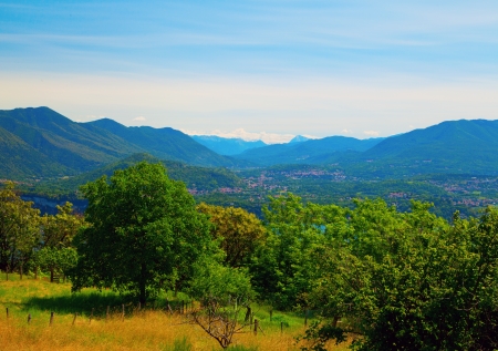 Landscape under blue sky with big treesの写真素材