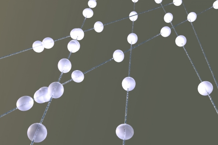 Drops over a spider web