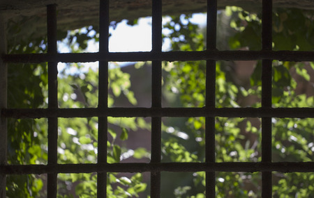 Barred window with trees on the outsideの写真素材