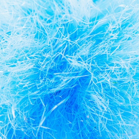Blue feather duster in strict close upの写真素材