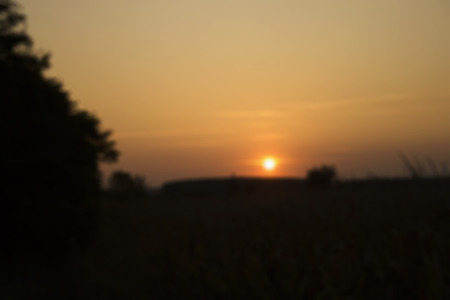 Sunset on the fields, blurred background, horizontal imageの写真素材